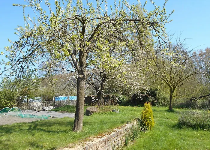 בית נופש La Bergerie Saint-augustin Saint-Augustin (Pas-de-Calais)